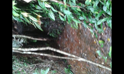Imagem 5 de 11 de Fazenda Rj Morangaba/imbé