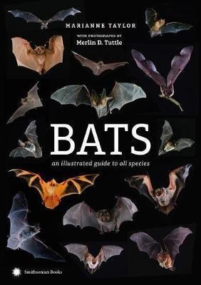 Bats : An Illustrated Guide To All Species - Marianne Tay...
