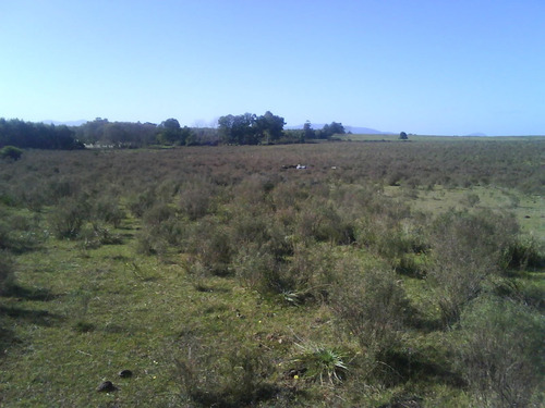 Campo En Cuchilla Alta Dueño Vende