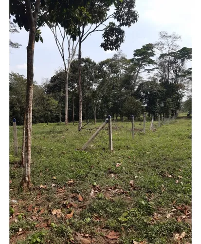 Vendo Lotes En Restrepo Meta De 2200 M2