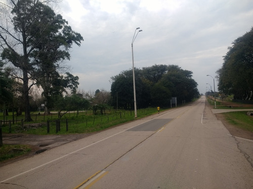 Campo 10 Hás En Paysandú