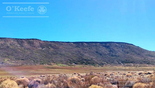 Imagen 4 de 30 de Campo En Venta De 14.000 Has En Neuquen Patagonia Argentina - Estancia Ganadera