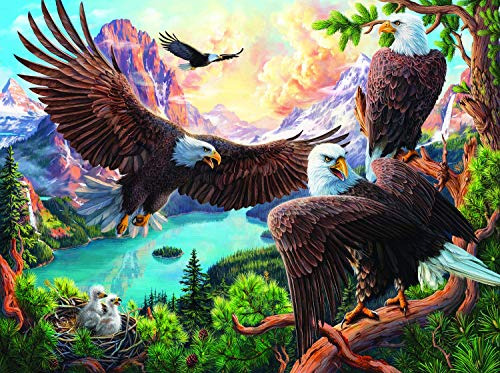 Puzzle De 1000 Piezas Eagle Dance De Sunsout Inc