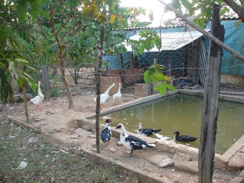 Imagem 8 de 10 de Vendo Ou Troco Chacara Em Taboquinha - Go
