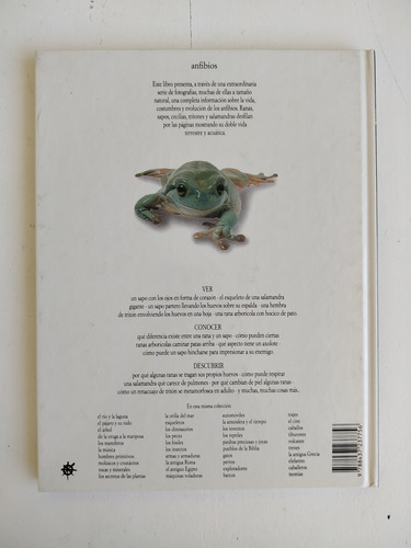 Libro Anfibios-biblioteca Visual Altea-santillana.1993
