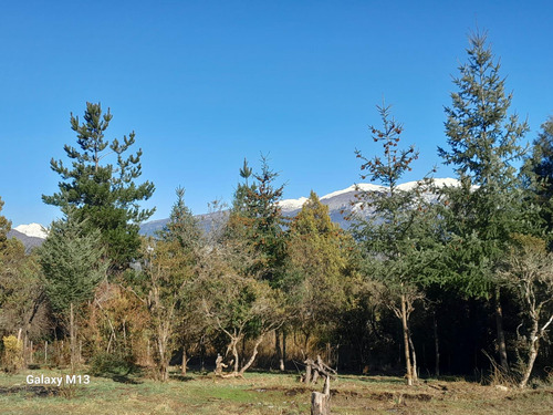 Terreno En Las Golondrinas.