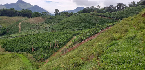 Imagem 15 de 15 de Fazenda, Para Venda Em Carangola/mg - Var1212ale