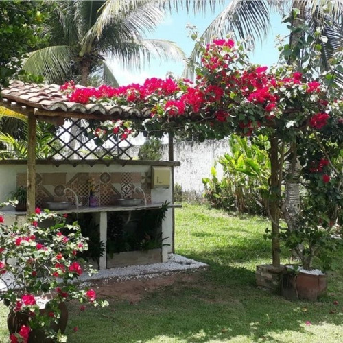Imagem 6 de 22 de Chácara À Venda, 15000 M² Por R$ 1.500.000,00 - Zona Rural - Macaíba/rn - Ch0014