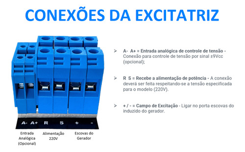 Excitatriz Estática Avr Para Gerador Com Escovas Até 450 Kva