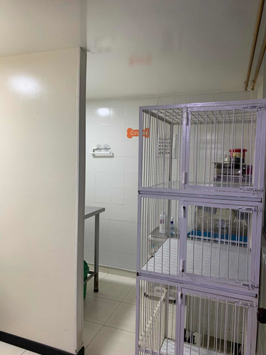 Clínica Veterinaria En Venta