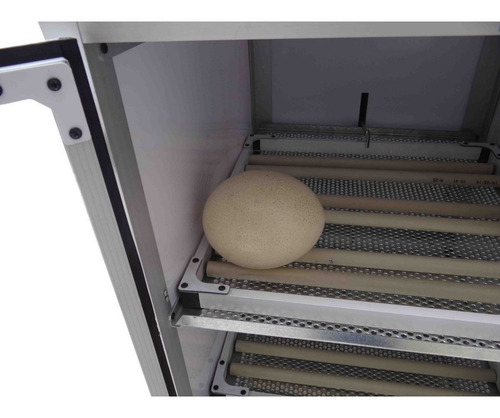 Chocadeira Automática Digital Ovos Avestruz Emu Ema Galinha 127v