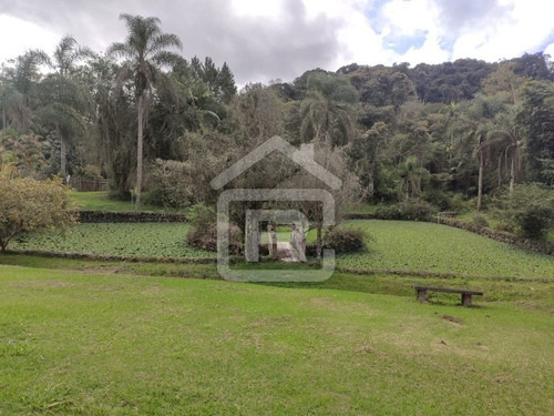 Imagem 9 de 30 de Excelente Sitio Com Topografia Plana, Rico Em Aguá - 12 - 69839868