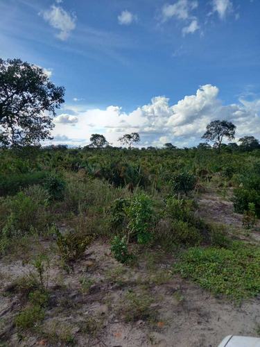 Imagem 7 de 14 de Sitio Chapadao Do Ceu 80 Alqueires Valor 6.500.000