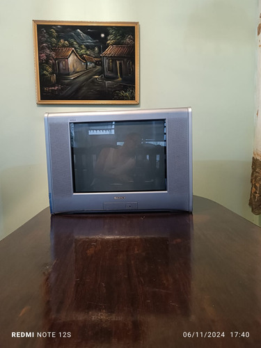 Tv Culon Sony 21 En Buen Estado. (Usado)