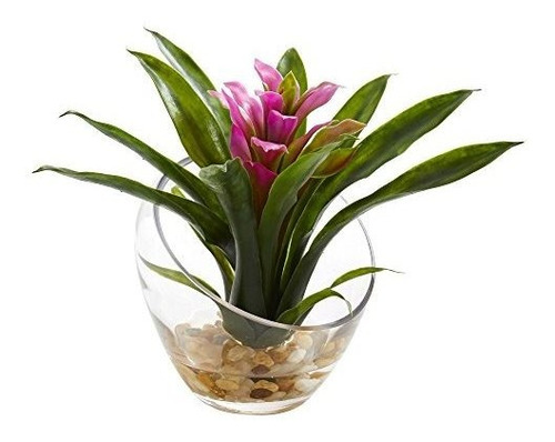 Bromelia Tropical Casi Natural En Florero Angulado, 8  , Pu