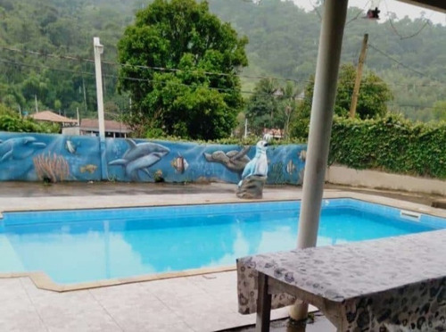 Imagem 14 de 15 de Sítio Com Piscina