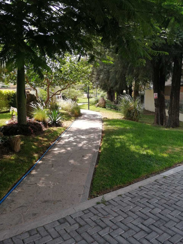 Imagen 7 de 14 de Casa En Venta Bugambilias Coto Rincon De Bugambilias