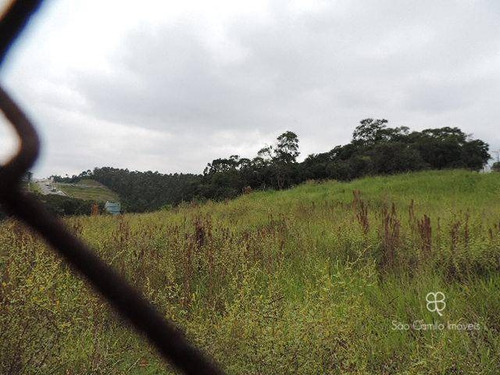 Imagem 10 de 13 de Área, 8000 M² - Venda Por R$ 3.200.000,00 Ou Aluguel Por R$ 20.000,00/mês - Parque Dom Henrique - Cotia/sp - Ar0005