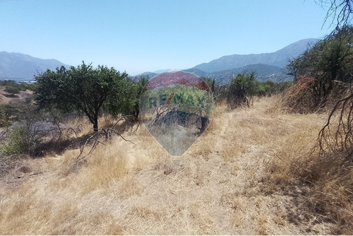 Oasis La Campana Parcela Rebajada