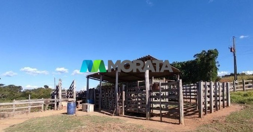 Imagem 14 de 15 de Fazenda - Zona Rural - Ref: 5396 - V-mta5396