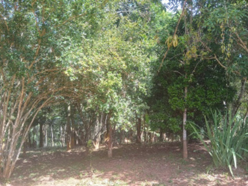 Imagem 19 de 30 de Sítio C/ Casa, Piscina, Pomar E Um Lindo Chalé Em Condomínio Rural Clube Juca Vieira C/ Área De 9.000 M², No Condomínio Clube Campestre Juca Vieira! - Oci0106 - 69677222