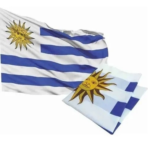 Bandera De Uruguay Oficial 60 X 100 Cm