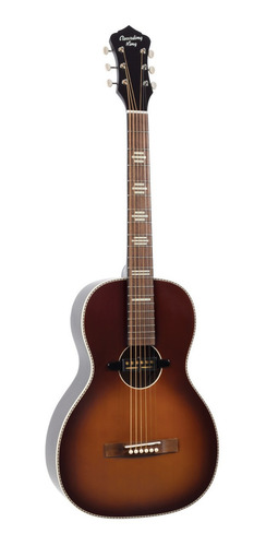 Imagen 2 de 3 de Guitarra Acústica Recording King Goldfoil Serie 7 Rps-7 E-ts