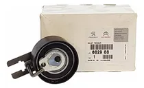 Comprar Tensor Distribución Peugeot 308 206 207 Peugeot 206 2.0l