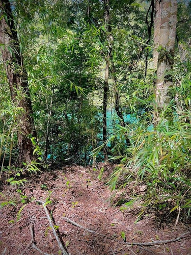 Parcelas A 2 Minutos Del Lago Rupanco, Acceso A Rio