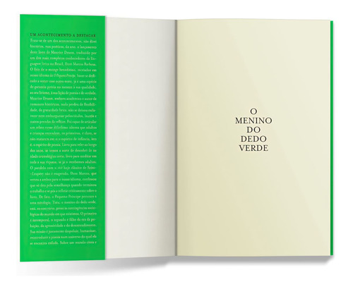 O Menino Do Dedo Verde - Maurice Druon