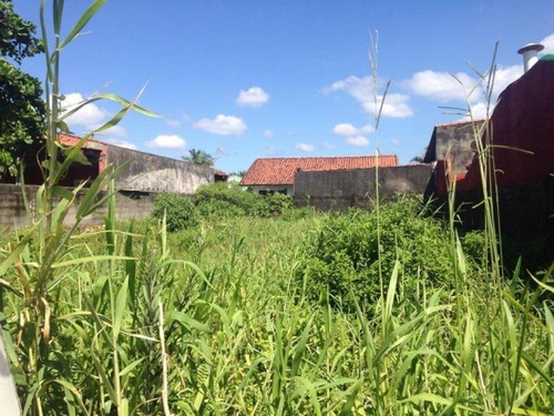 Imagem 3 de 3 de Terreno Frente Ao Mar, Com 280 M², Em Itanhaém/sp Ter003