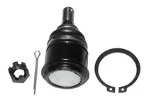 Comprar Rotula Horquilla Delantera Inferior Civic 1992\u002F2000 Ts