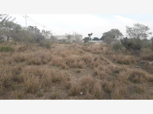 Imagen 2 de 12 de Terreno En Renta Union Agrop Lazaro Card Del Norte