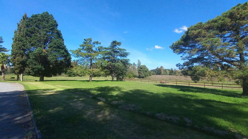 Campo En Fatima