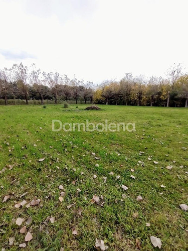 Imagen 18 de 30 de Depósito Galpón En Venta O Permuta Ubicado En Luján, G.b.a. Zona Oeste