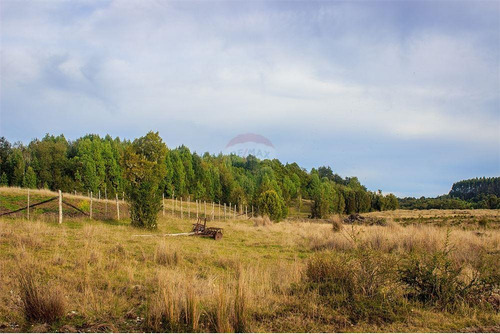 Imagen 1 de 30 de Hermosa Parcela Cercana A Linao Chiloe