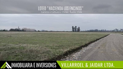 Venta De Parcela Camino A Coihueco