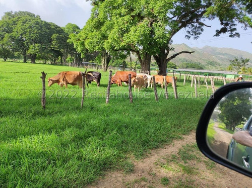 Finca Ganadera 267 Hectareas, Casa Principal De 550 Mts2 De Construcción Aproximados, 3 Depósitos De Maquinarias, Techos Nuevos, Ventanales Panoramicos Y Corredores