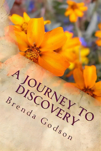 A Journey To Discovery: Recapturing Your Childhood Wonder, De Godson, Brenda. Editorial Createspace, Tapa Blanda En Inglés
