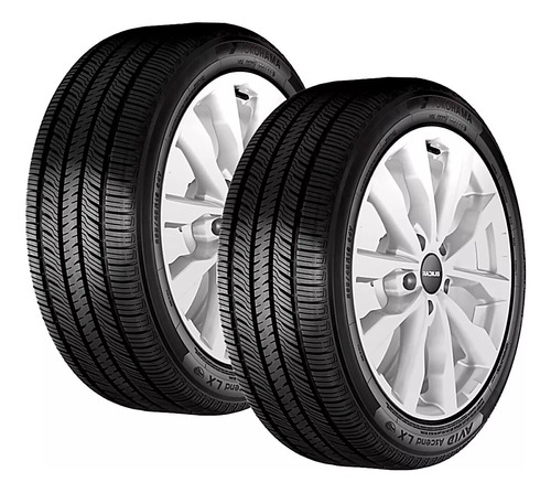 2 Llantas Yokohama 255/40r19 100v Ascend Gt Pp