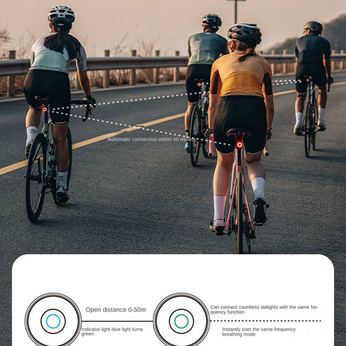 Luz Trasera De Bicicleta Rockbros Con Sensor De Freno Inteli