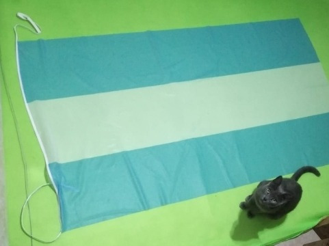 Imagen 2 de 4 de Bandera 1.50x90 Y Banderines