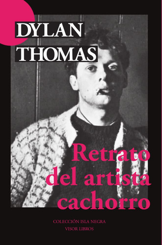 Retrato Del Artista Cachorro, De Thomas Dylan., Vol. 1. Editorial Visor, Tapa Blanda En Español, 2021