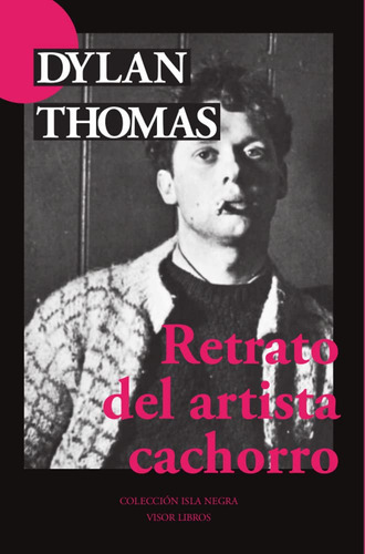 Retrato Del Artista Cachorro, De Thomas Dylan., Vol. 1. Editorial Visor, Tapa Blanda En Español, 2021