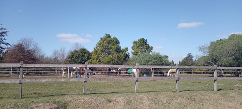 Imagen 10 de 19 de Lote En Venta Barrio El Campo Fincas Exclusivas