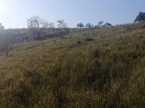Imagem 2 de 6 de R10-lotes Plainos 5.000mts Jacareí