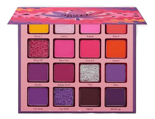 Sombra De Ojos Kara Beauty Purple Haze Color 16 Colores Brilloso