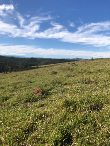 Imagem 9 de 14 de A23d-vendo Maravilho Terreno De 1.000 M²