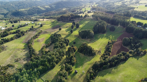Imagen 7 de 16 de Campito De 7ha Mirador Del Mañio - Los Muermos