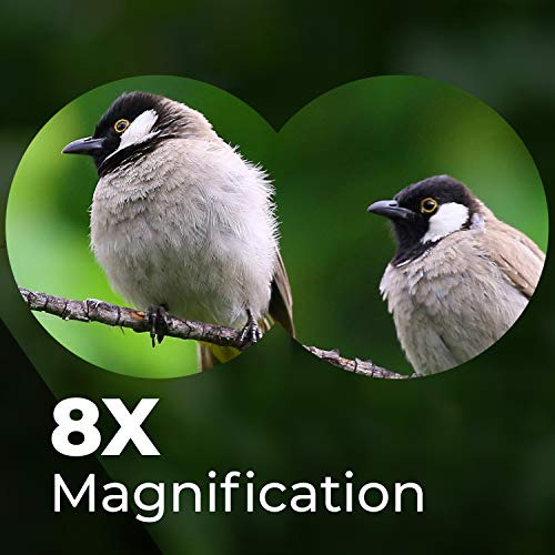 Alaspan Óptica Campoview 8x32 Binoculares Compactos 6izgb
